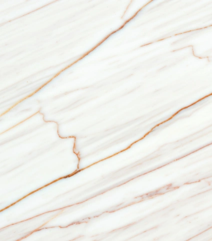 Sophisticated Marble Flooring for a Luxurious, High-End Finish