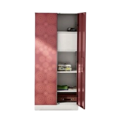 2 door almirah with spacious storage design